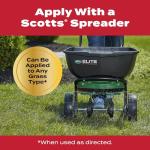 Scotts GrubEx1 Lawn Grub Killer - 2-Pack