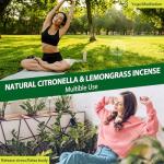 KICKOUTOR® Citronella Incense Sticks - 24 PCS