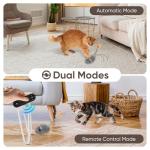Interactive Rechargeable Cat Mouse Toy with Remote