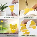 36 Fruit Fly and Gnat Traps for Indoors