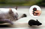 Wireless Remote Control Prank Fake Rat Toy