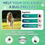 Carmelie Flea and Tick Chews for Dogs - 200 Count
