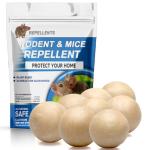 Indoor Rodent Repellent with Peppermint Oil
