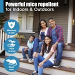 Indoor Rodent Repellent with Peppermint Oil