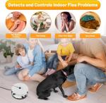 Odorless Indoor Flea Traps - 2 Pack