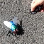 Tipmant RC Fly Remote Control Mosca Toy Realistic Electronic Animal Fake Insect Car Vehicle Kids Birthday Gifts