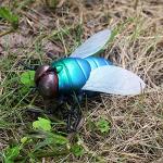 Tipmant RC Fly Remote Control Mosca Toy Realistic Electronic Animal Fake Insect Car Vehicle Kids Birthday Gifts
