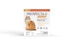 Provecta® II for Cats Over 9 lbs (LG), 4 MOS/Box