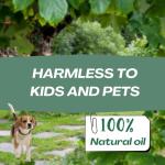 Rodent Mice Repellent - Indoor Outdoor Rodent Control for Home, Cars, Sheds, Long-Lasting 30-60 Days, Pet Safe Essential Peppermint Oil Formula,Squirrel Repellent,12 PCS Covers 650 Sq. Ft