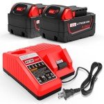18V 6Ah Battery and Dual Charger Set