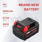 18V 6Ah Battery and Dual Charger Set