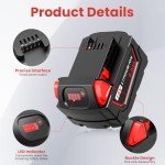 18V 6Ah Battery and Dual Charger Set