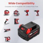 18V 6Ah Battery and Dual Charger Set