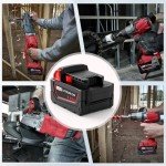 18V 6Ah Battery and Dual Charger Set