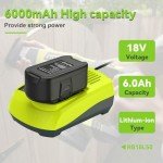 Djsanu 21V Rapid Charger and 6.0Ah Battery Combo