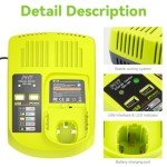 Djsanu 21V Rapid Charger and 6.0Ah Battery Combo