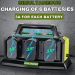 18V 6-Port Rapid Battery Charger for Ryobi Tools