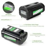 40V 6.0Ah Battery for Ryobi Tools
