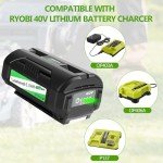 40V 6.0Ah Battery for Ryobi Tools