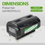 40V 6.0Ah Battery for Ryobi Tools