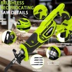 RYOJEGK 21V Cordless Reciprocating Saw with Batteries