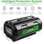 40V 6.0Ah Lithium Battery for Ryobi Tools