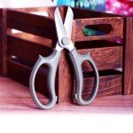 ERWAZEI Premium Steel Flower Cutter Scissors