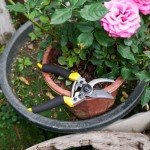 Kemaier Heavy-Duty Handheld Garden Shears for Pruning