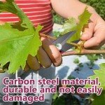 4 Pack Bonsai Pruning Scissors and Shears