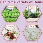 4 Pack Bonsai Pruning Scissors and Shears