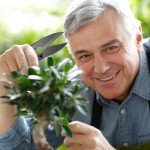 4 Pack Bonsai Pruning Scissors and Shears