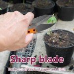 4 Pack Bonsai Pruning Scissors and Shears