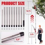 Extendable Manual Pole Saw for Easy Tree Trimming