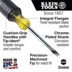 Klein Tools Stubby Screwdriver Set - 2 Pieces