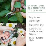 Sage Gardening Shears & Pruners 2-Pack