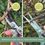 Sage Gardening Shears & Pruners 2-Pack