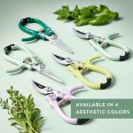 Sage Gardening Shears & Pruners 2-Pack