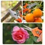 3-Piece Stainless Steel Pruning Shears Set