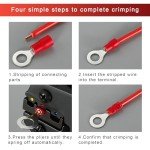 200 Pcs M3 Insulated Ring Terminals Kit