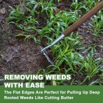 Haliaeetus Long Handle Gardening Hoe for Weeding