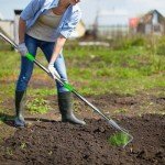 Adjustable Long-Handle Garden Hoe for Easy Weeding