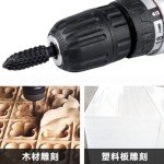 Wolfride 10-Piece Rotary Rasp File Set