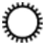 Pferd PF1562 Round Rasp File 250 H2