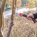 HAUTMEC 9" Pro Folding Pruning Hand Saw