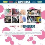 Sunburst Radial Bristle Discs - 48 Pack