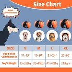 Dog Ear Muffs for Noise Protection (Large, Orange)