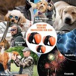 Dog Ear Muffs for Noise Protection (Large, Orange)