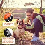 Dog Ear Muffs for Noise Protection (Large, Orange)