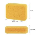 Goldblatt Grout Float with 3 Sponges Set