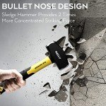 Geology Rock Pick Tool Kit with Sledge Hammer